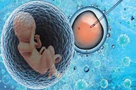 美国试管婴儿：无癌生殖能够实现吗？