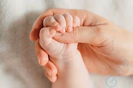 美国做第三代试管婴儿-试管婴儿成功率