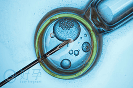 美国试管婴儿：冻胚移植优点有哪些？