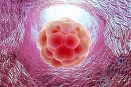 PGS/PGD技术-试管婴儿成功率-促排卵