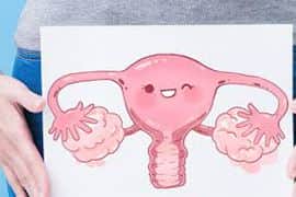 美国三代试管移植胚胎成功率是多少