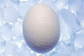 美国冷冻卵子-美国试管婴儿