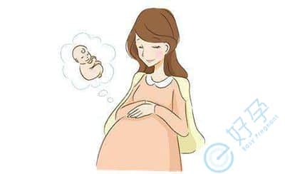 试管胚胎移植-泰国试管婴儿
