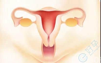 女性宫颈糜烂有哪些症状？做试管婴儿会影响收费用吗？