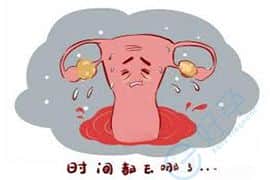 卵巢早衰做试管婴儿要经过哪些步骤呢？
