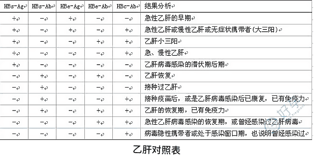 e好孕-乙肝对照表.png