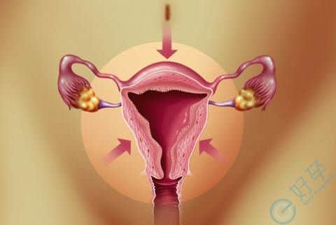 宫颈癌是什么，做试管的过程详细讲解