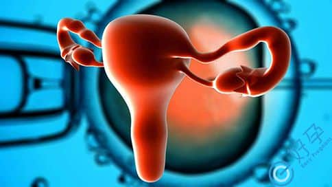 卵巢储备不足能做试管婴儿吗？做试管婴儿前调理有哪些流程？