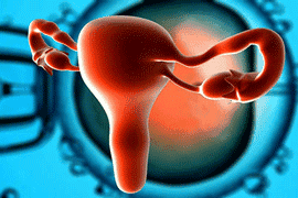 都是子宫肌瘤惹的祸，面对子宫肌瘤试管婴儿该如何成功？