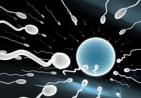 卵巢早衰闭经做泰国试管婴儿有哪些流程？