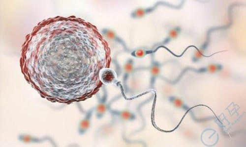 如何避免染色体异常？第三代试管技术为迎接健康宝宝