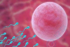 卵巢功能性不孕赴美试管婴儿成功率有多少？