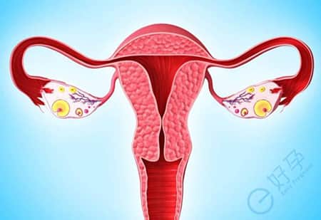 子宫内膜达到多少是移植标准?