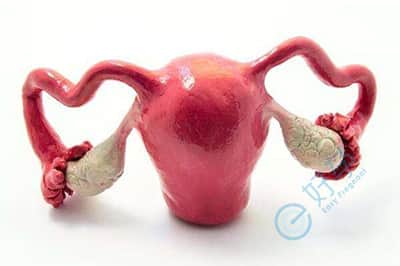 高龄试管助孕，别以为月经正常卵巢功能就正常了!
