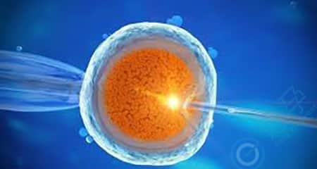 夫妻染色体正常，但胚胎染色体异常，什么原因引起？