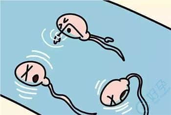 输卵管积水有什么症状？会影响做试管婴儿吗？