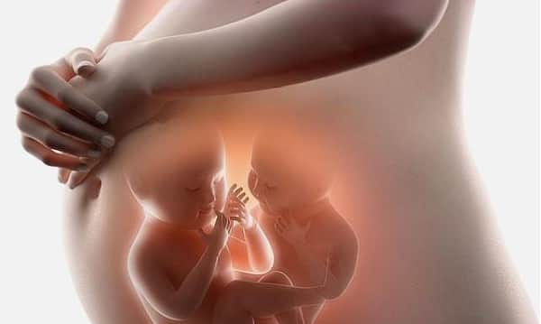 美国试管可以移植两个囊胚生双胞胎吗？有哪些试管费用
