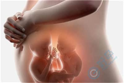 试管移植成功后，怀孕后，胎心、胎芽多久才会出现？