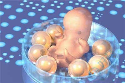 胚胎质量不佳