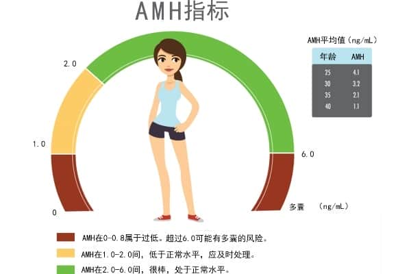 amh值多少正常范围