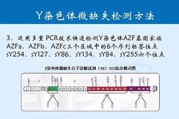 Y染色体微缺失检测方法