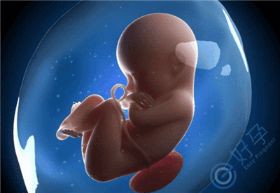 影响试管婴儿胚胎移植的8大环节