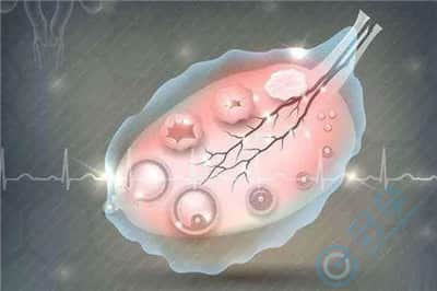 多囊卵巢姐妹想怀孕 分享5个养卵方法
