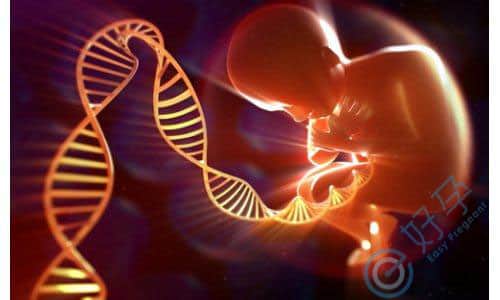 当我们的染色体“生病”时，还能生下健康的宝宝吗？