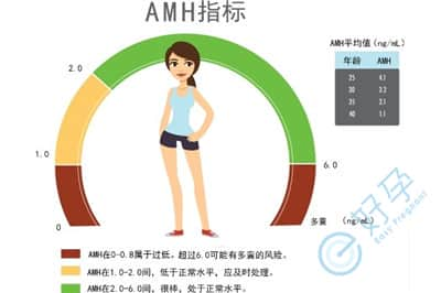 常常听到医生说AHM值，与女性生育力有什么关系呢?