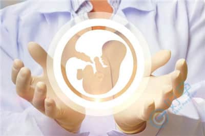泰国试管婴儿：微刺激和常规方案，哪种成功率高？