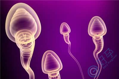 精子活力5%，泰国试管婴儿技术助卵子正常受精