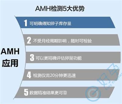 检测AMH值可预测泰国试管婴儿成功率
