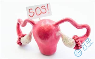 子宫腺肌症影响泰国试管婴儿胚胎着床吗？