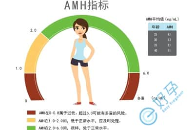 泰国试管婴儿报告分析：通过AMH值预估成功率准确吗？