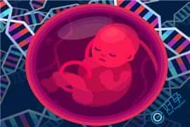 女性染色体异常，通过泰国试管可以得到健康胚胎吗？