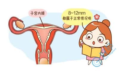 女性生理期不同阶段内膜怎样算达标呢
