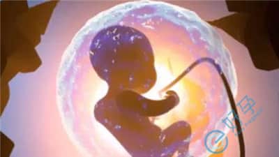 试管胚胎移植成功后，宝宝会出现发育缓慢的情况吗？