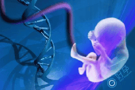 两次因染色体异常致胎停，做试管婴儿还能成功生育吗?