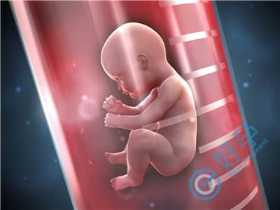 因染色体问题发生过胎停，做试管前如何备孕？