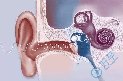 第三代试管婴儿可以避免先天性聋哑吗？