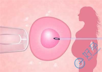 解析试管婴儿注射HCG与破卵针的作用