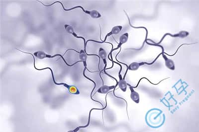 第二代试管可以解决弱精症男性的生育问题吗？