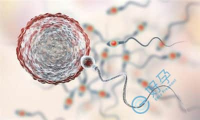 精子可再生，做试管婴儿是不是对于男性的要求比较低