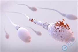 精子DFI碎片率高，做试管婴儿是如何提高成功率的？