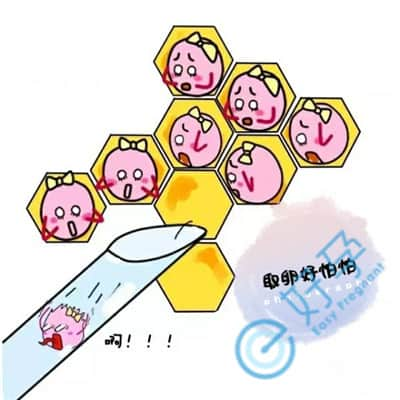 取卵是提前预支卵泡数量吗？如何科学促排安全取卵