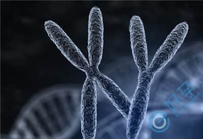 Y染色体异常，还能通过试管生下一代吗？