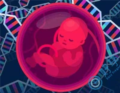 第三代做试管技术如何预防胎儿发生染色体异常？
