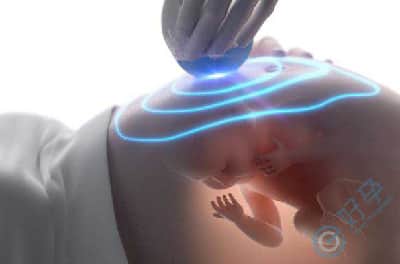 试管婴儿囊胚移植多少天后有胎心胎芽？