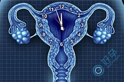 大龄女性卵巢衰竭导致难孕育，试管三大锦囊帮助优生