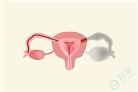 排卵障碍性不孕试管婴儿如何实现好孕？